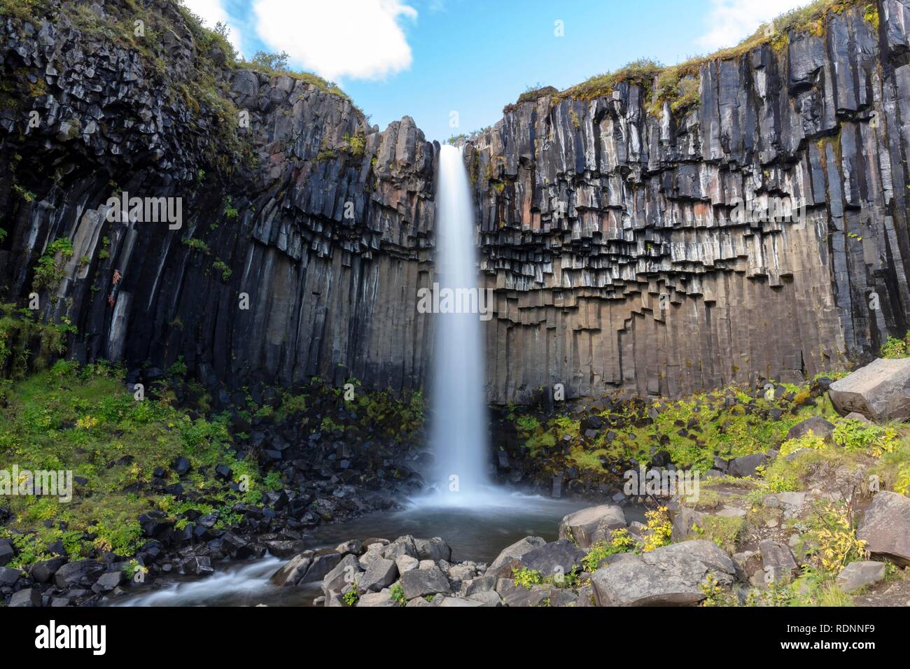 Cascade de Svartifoss, Stórilaekur river falls sur un bord de colonnes de basalte, le parc national de Skaftafell, l'Islande Banque D'Images