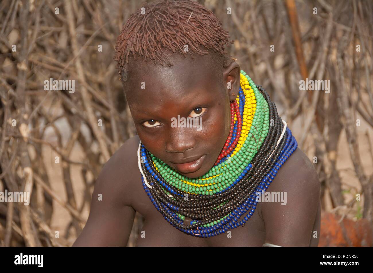 Les Nyangatom, Bume ou Buma girl, vallée de l'Omo, Ethiopie, Afrique Banque D'Images