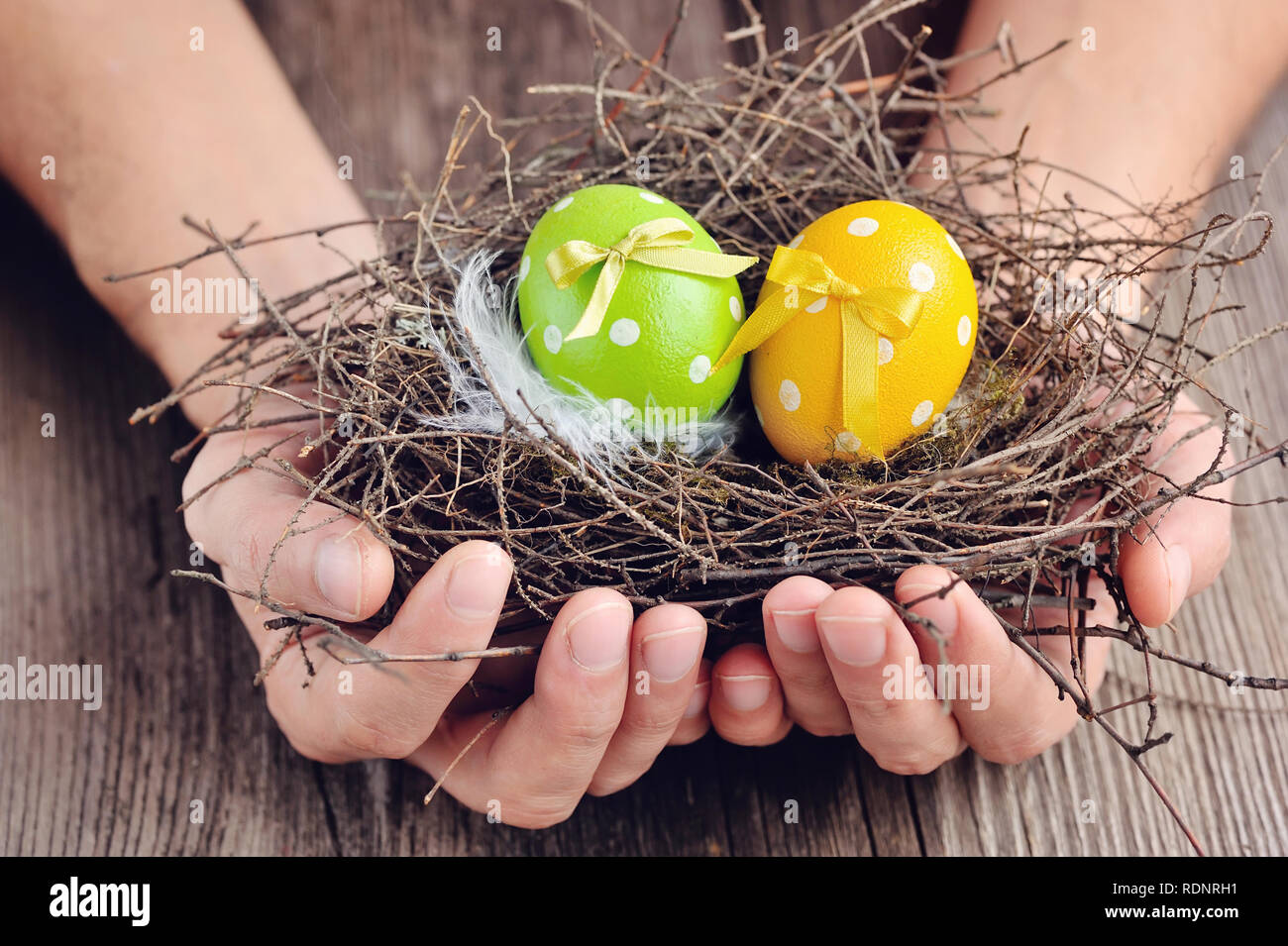 Hands holding a peint des oeufs de Pâques dans un nid sur un fond de bois Banque D'Images