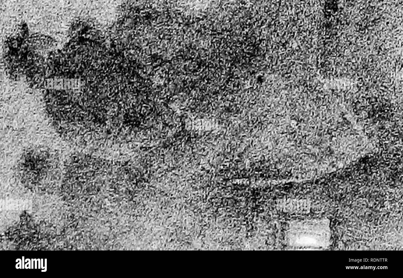 . L'âge d'encadrement. Coaching (transport). 10 w a ; o (^ o h o o o p q H Q. ; ! ^ *. Veuillez noter que ces images sont extraites de la page numérisée des images qui peuvent avoir été retouchées numériquement pour plus de lisibilité - coloration et l'aspect de ces illustrations ne peut pas parfaitement ressembler à l'œuvre originale.. Harris, Stanley. Londres, R. Bentley et fils Banque D'Images