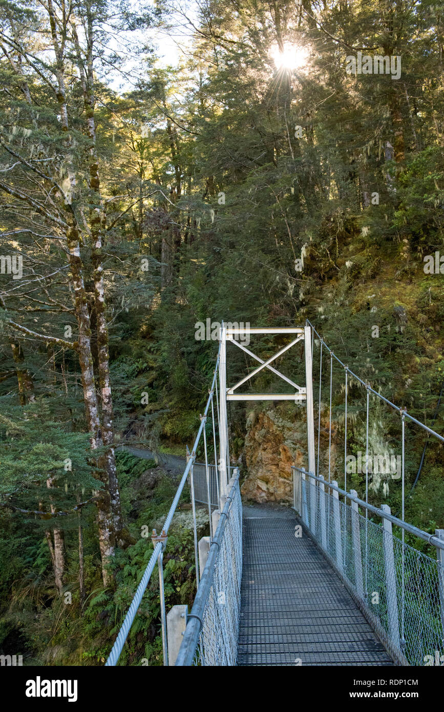 Un pont tournant qui mène dans une forêt de hêtre marque le début de la Routeburn Track près de Glenorchy en Nouvelle-Zélande. Banque D'Images Un pont tournant qui mène dans une forêt de hêtre marque le début de la Routeburn Track près de Glenorchy en Nouvelle-Zélande. Banque D'Images