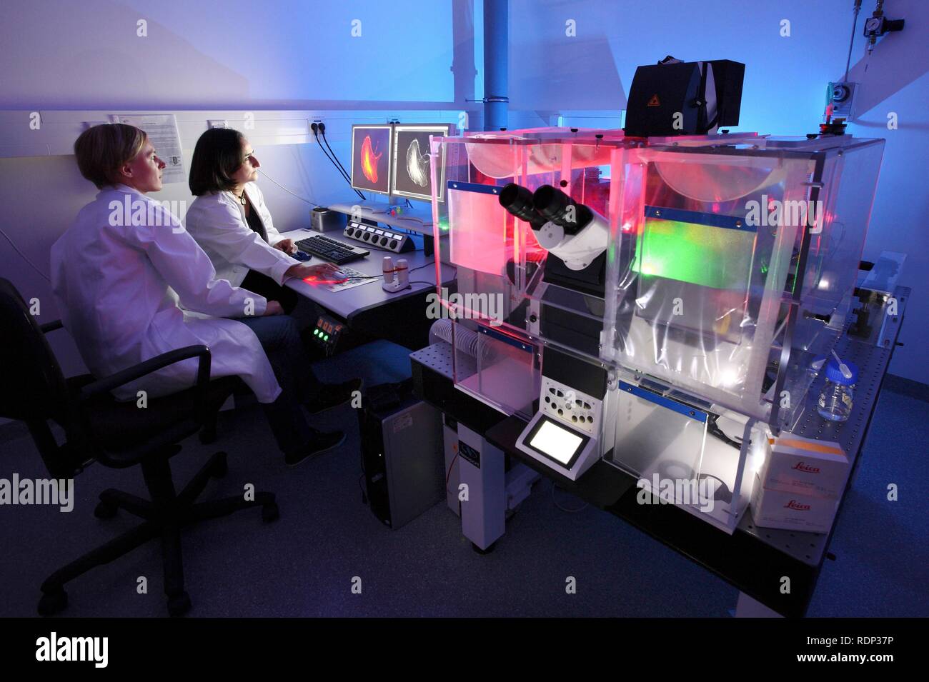 La biotechnologie, microscope à fluorescence, une version spéciale d'un microscope optique qui peut visualiser l'étiquette fluorescente Banque D'Images