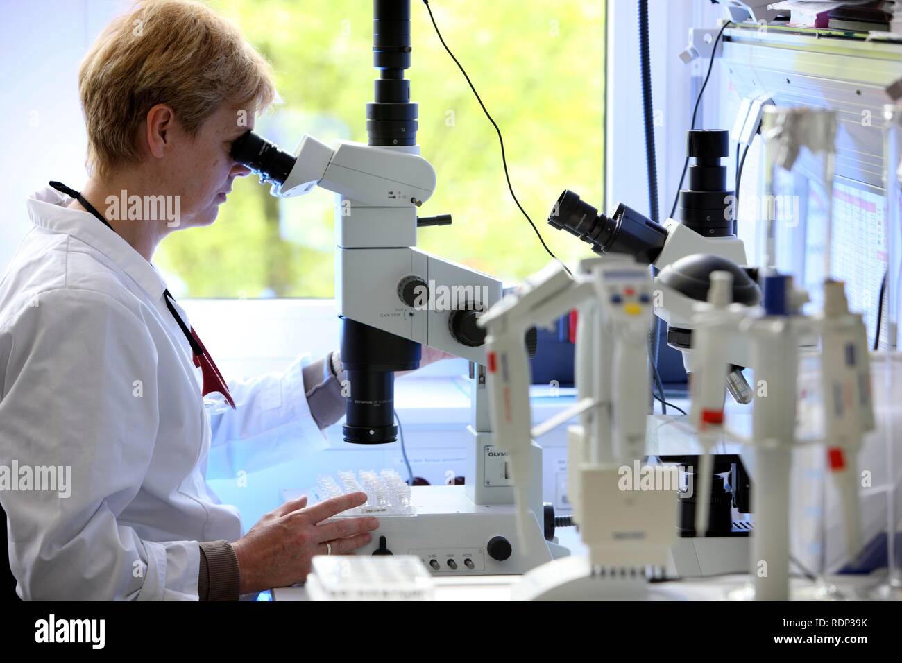 Laboratoire, un scientifique étudie les cristaux de taille qui ont été créés sur une plaque de cristallisation sous un microscope, Banque D'Images