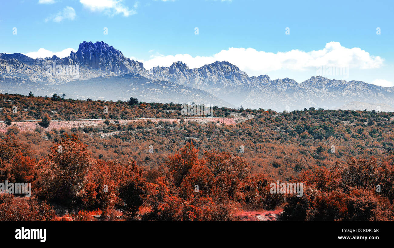 Montagnes Rocheuses à l'horizon en désert aux couleurs de l'automne. Banque D'Images