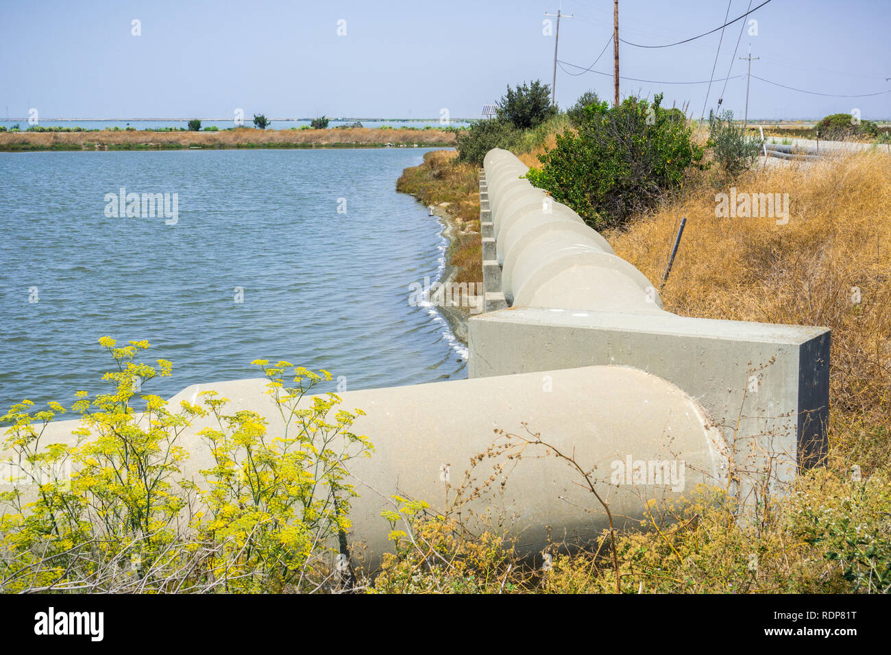 Les tuyaux en ciment, près de Sunnyvale Water Pollution Control Plant, San Francisco Bay Area, Sunnyvale, Californie Banque D'Images