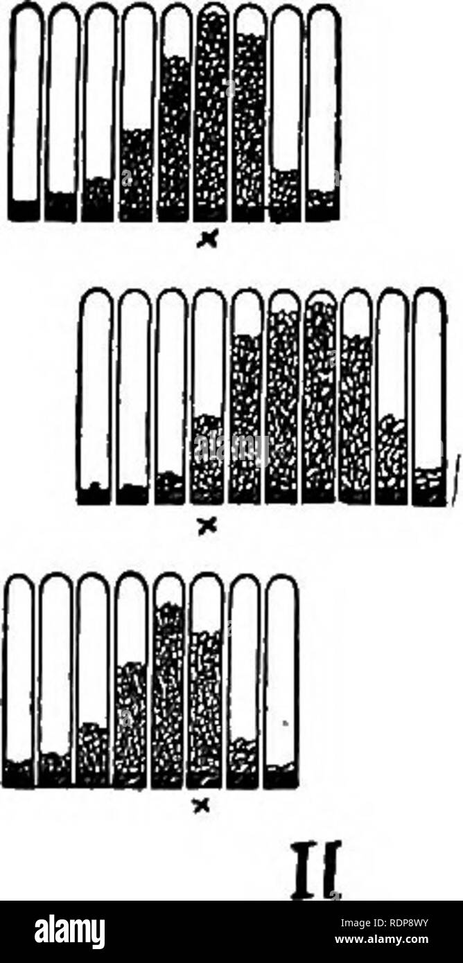 Le Mecanisme De L Heredite Mendelienne L Heredite De Mendel Droit Les Chromosomes Fig 62 I