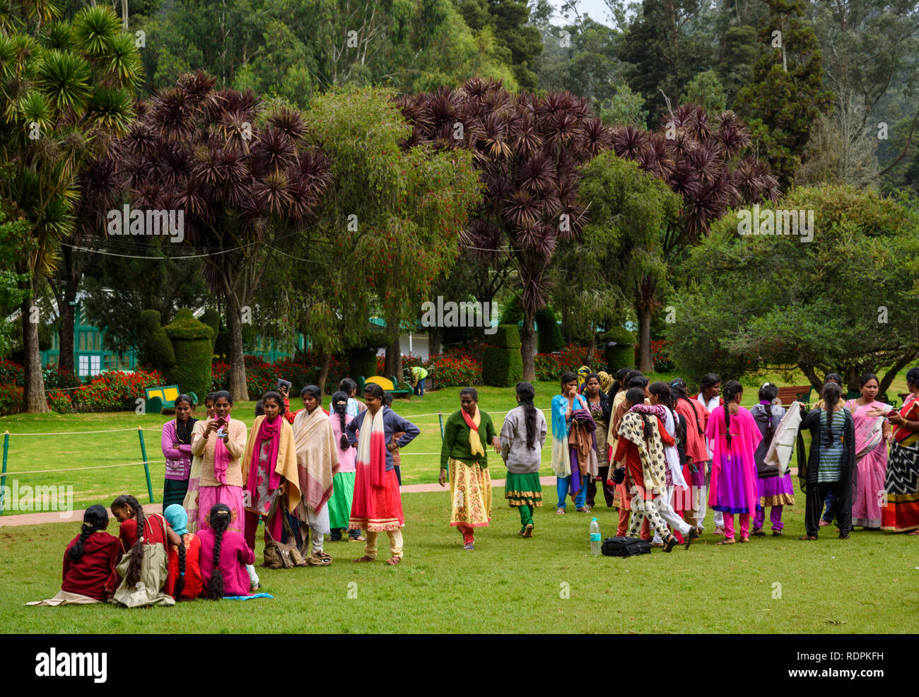 Jardins botaniques, Ooty, Nilgiri, Tamil Nadu, Inde Banque D'Images
