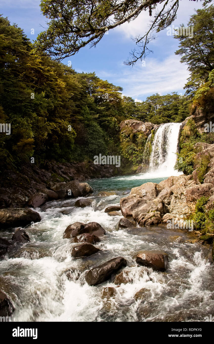 Belle Tawhai Falls Cascade en Nouvelle Zélande Banque D'Images
