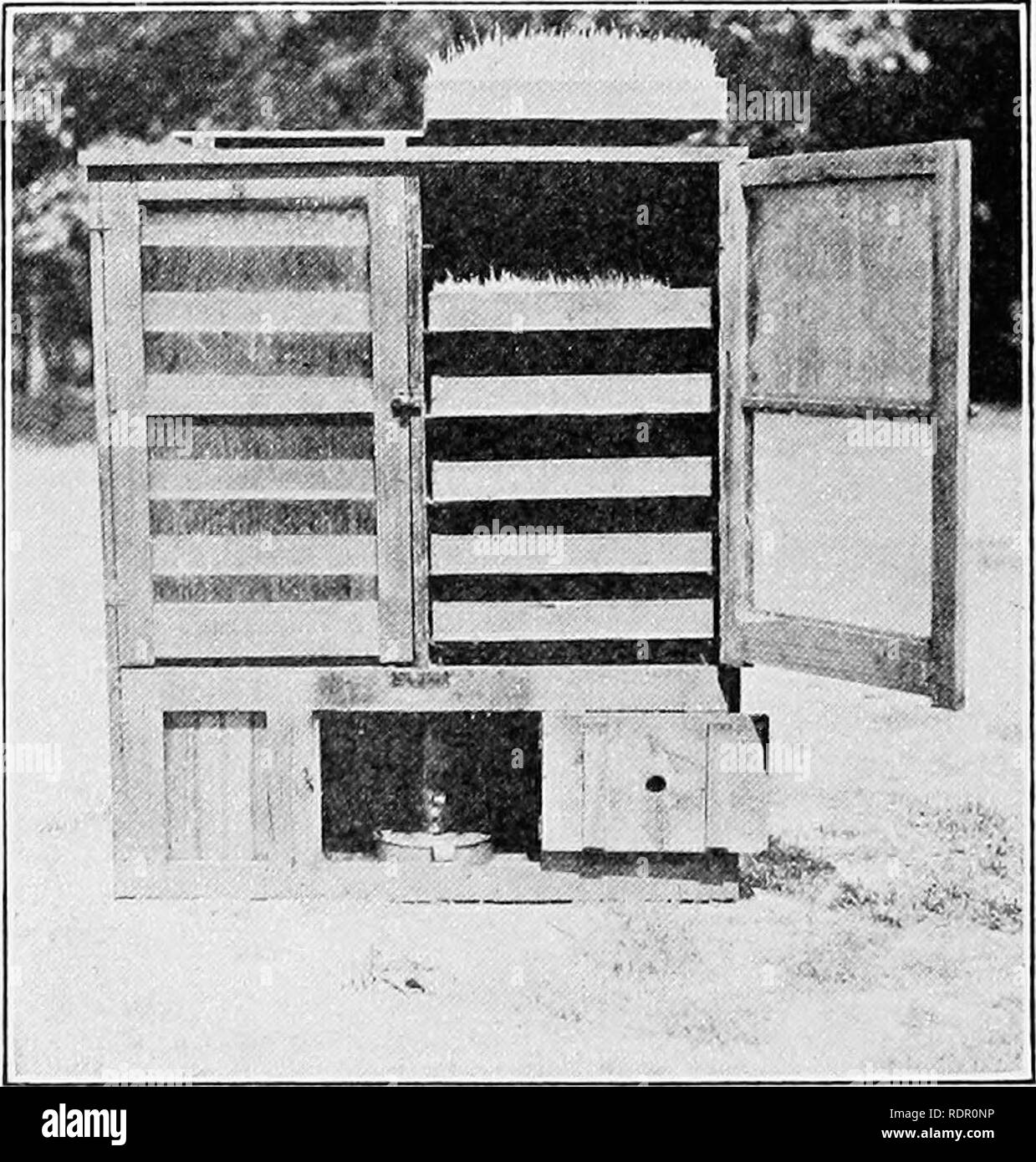 . La production de volailles pratique . La volaille. 204 LA PRODUCTION DE VOLAILLES pratique en les suspendant par cordon, suspendu dans le poul- essayez de chambre pendant que les betteraves sont généralement répartie et collé sur un clou sur le mur de côté près du plancher. Lorsque l'avoine sont utilisés pour la germination, ils devraient être de bonne qualité. Les faire tremper une nuit dans de l'eau chaude et ensuite distribués H à 1 pouce d'épaisseur sur des plateaux fond perforé d'avoir. L'avoine de l'eau chaque jour à fond et tourner les plateaux autour, afin d'amener chaque côté près de la lumière, afin d'en- courage une même croissance. Incorporer l'avoine chaque jour jusqu'à ce que les pousses commencent à f Banque D'Images