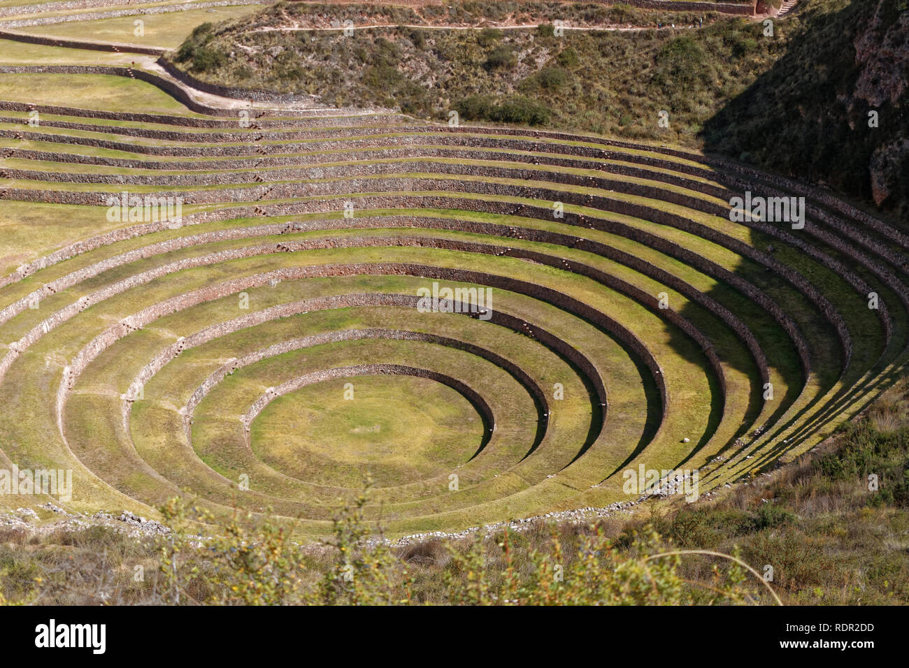 Terrasses Incas ronde dans Moray, le Pérou pour l'élevage expérimental. Banque D'Images