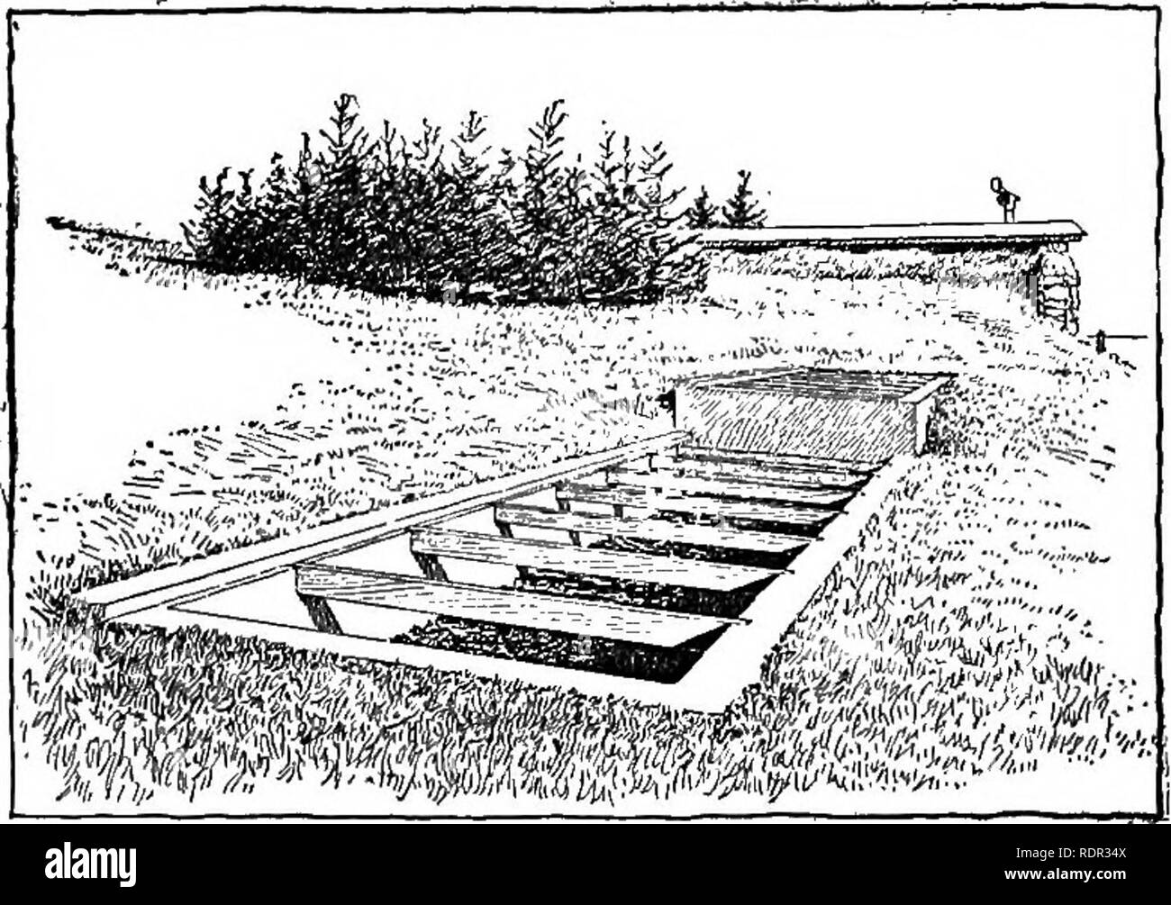 . Cyclopedia de cultures agricoles, une étude des cultures populaires et des méthodes de récolte aux États-Unis et au Canada ;. Produits agricoles ; l'Agriculture. Les cultures de plantes racines 553 EOOT ou caisses six de large, et aussi haut que les caisses peuvent être facilement placés dans la salle. S'il est stocké dans des sacs, les niveaux sont d'environ trois à cinq sacs de large et parfois dix sacs de haut. Cet arrangement donne une ruelle-chemin entre les différentes lignes de matériel en stock, que ce soit en sacs ou dans des caisses. Dans le cas de l'oignon, les fausses étagères ou casiers sont parfois fournies, qui sont environ six ou huit pieds de large, sur lequel les oignons sont Banque D'Images