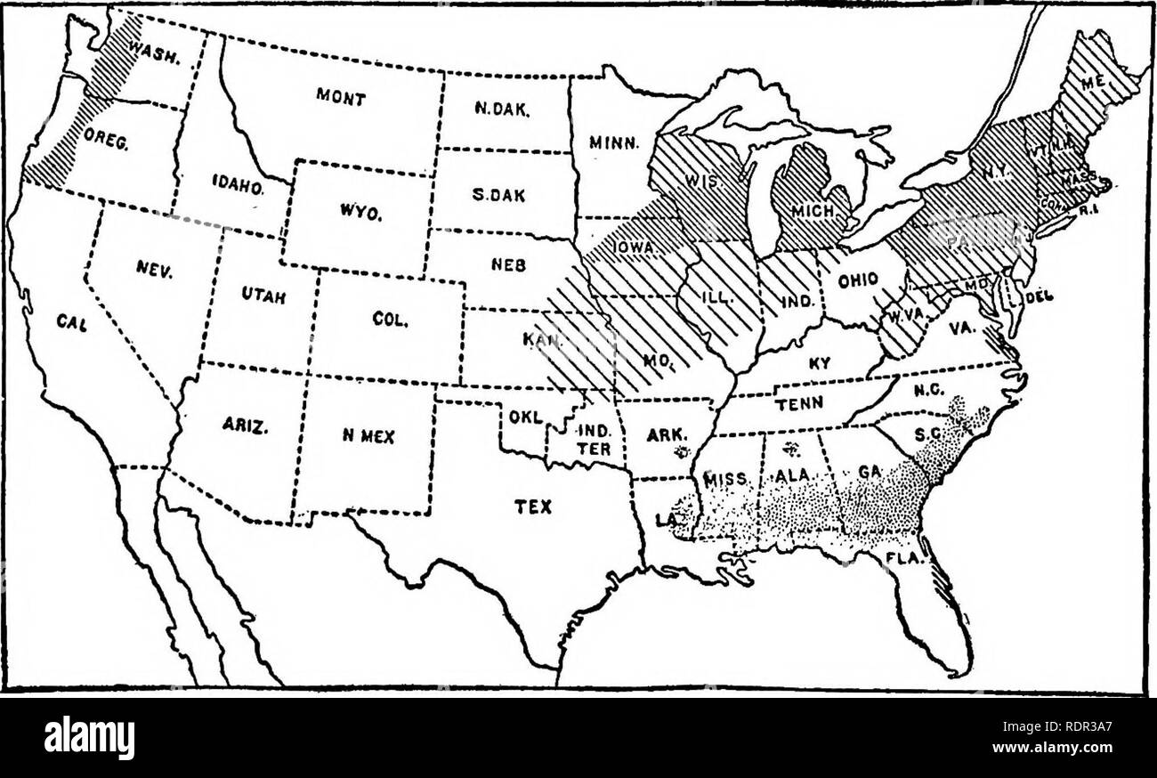 . Cyclopedia de cultures agricoles, une étude des cultures populaires et des méthodes de récolte aux États-Unis et au Canada ;. Produits agricoles ; l'Agriculture. Pomme de terre Pommes de terre 524 insectes.- La puce-beetle (Crepidodera [Epitrix cucumeris]) attaque les feuilles, les perforations et ainsi fournir un accès facile pour les spores de maladies. La pulvérisation à la bouillie bordelaise dès que les insectes apparaissent est de valeur. Il agit comme un effet dissuasif. Sur la côte du Pacifique d'autres coléoptères aux puces de se produire, et pour de tels l'utilisation d'arsénites seul ou en mélange de Bordeaux est conseillé.. Fig. 752. Distributioii {blieht la fin de Phytophthora infestans) Banque D'Images