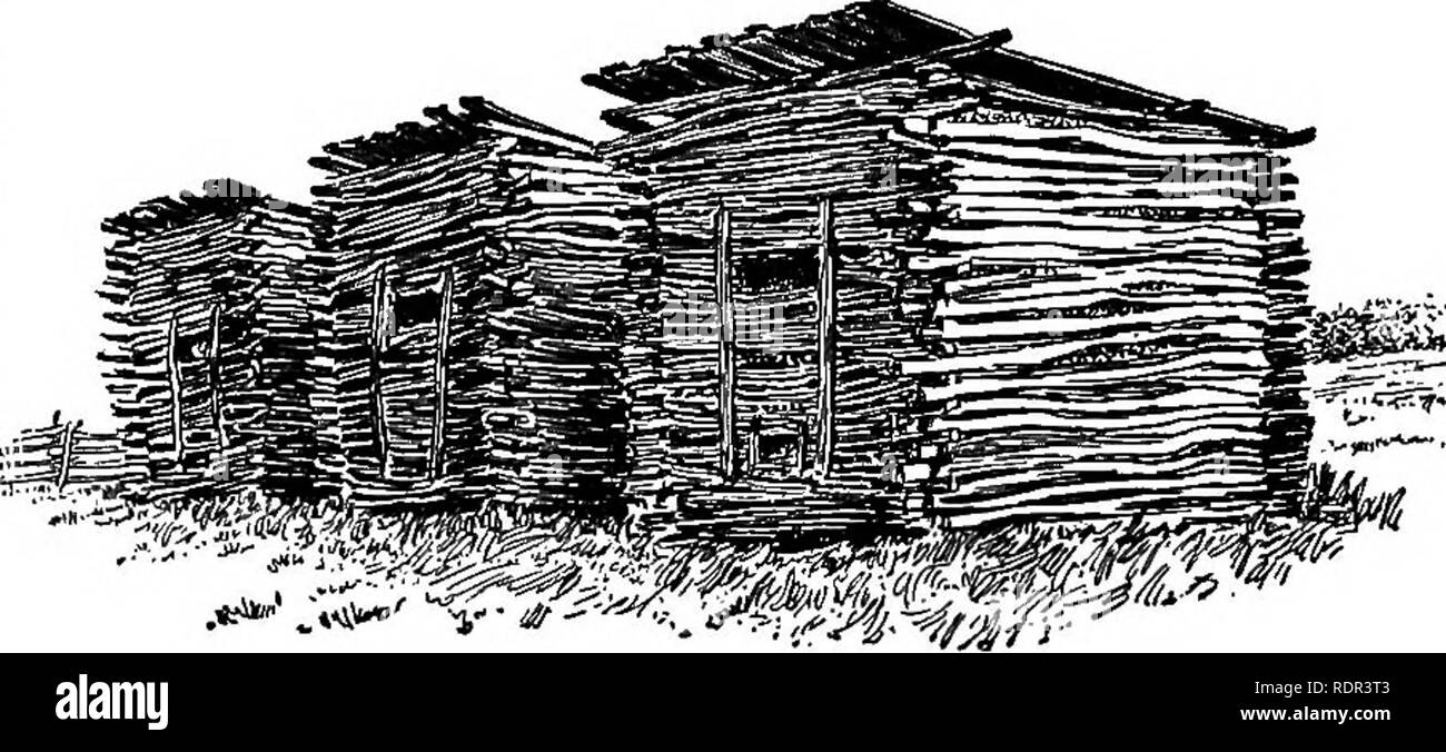 . Cyclopedia de cultures agricoles, une étude des cultures populaires et des méthodes de récolte aux États-Unis et au Canada ;. Produits agricoles ; l'Agriculture. Maïs Maïs Maïs 414 UstUago charbon (zem) n un certain préjudice à presque chaque champ de blé. Elle réduit le nombre total annuel de la production de maïs des États-Unis par peut-être 2  %, ou, en d'autres termes, dans le réduit, sont issus de nos fermes vingt millions de dollars chaque année. Traitement de la semence, c'est d'aucune utilité. Les grappes de spores brunes ou noires qui se forment dans d'énormes masses sur différentes parties de la plante de maïs contiennent des millions de spores qui n'affectent pas d'autres plantes dire Banque D'Images