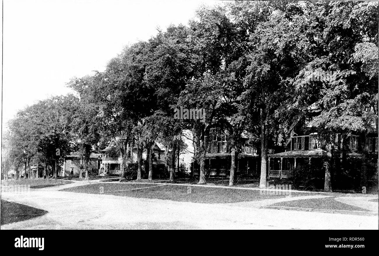 . La plantation d'arbres sur les voies publiques et dans les rues. La plantation d'arbres ; les routes. A. G. VARELA, PHOTO. GINKGOS. -AVENUE MENANT AU MINISTÈRE DE L'AGRICULTURE, Washington, D. C.. L'ELMS DE LENOX.. Veuillez noter que ces images sont extraites de la page numérisée des images qui peuvent avoir été retouchées numériquement pour plus de lisibilité - coloration et l'aspect de ces illustrations ne peut pas parfaitement ressembler à l'œuvre originale.. Fox, William F. (William Freeman), 1840-1909. Albany, J. B. Lyon, imprimantes Banque D'Images