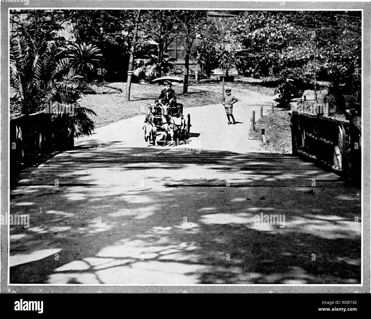 . Parcs nationaux, leur conception, l'équipement et l'utilisation. Parcs nationaux ; Paysage jardinage. Poneys et chèvres de chariots pour les voitures permettra d'attirer les enfants dans les parcs, un meilleur endroit de détournement pour eux que les films "air'' SEMI-PUBLIC PARK, Jacksonville. Veuillez noter que ces images sont extraites de la page numérisée des images qui peuvent avoir été retouchées numériquement pour plus de lisibilité - coloration et l'aspect de ces illustrations ne peut pas parfaitement ressembler à l'œuvre originale.. Burnap, George. Philadelphie et Londres, J. B. Lippincott Company Banque D'Images
