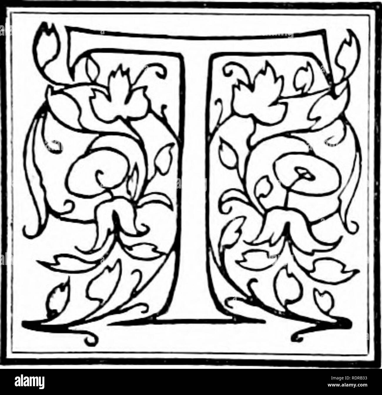 . Jardinage intérieur. Plantes d'intérieur. XXIV le chrysanthème. Il chrysanthème est, à côté du Géranium, de la fleur les plus populaires de l'époque actuelle, sans doute. Sa popularité a été une sorte de fad au début, quand les fleuristes fleurs exposées près d'un pied dans l'ensemble, mais la fleur a gagné sa place à l'amitié de flower- gens pacifiques partout par ses mérites, et nous continuons à croître de plus com- mendable motifs que ceux qui nous commande à sa culture au début de sa carrière. C'est une fleur qui fait appel à toutes les classes, en raison de sa merveilleuse plage de couleurs, je Banque D'Images