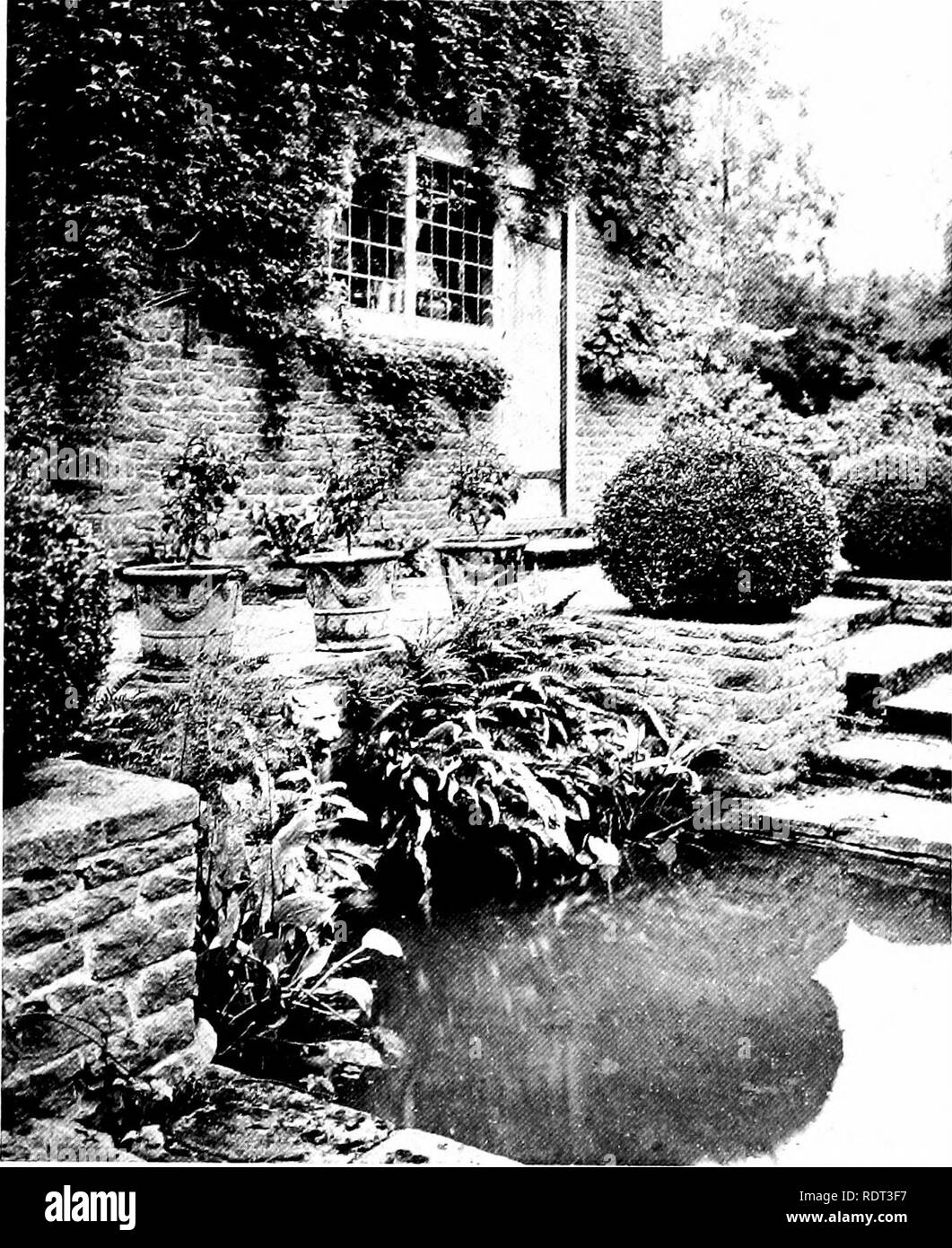 . Jardins pour les petites maisons de campagne . Jardins, l'anglais. 36 Garde7est pour les petites maisons de campagne. Chapitre V.-UN JARDIN À WEST SURREY. La pauvreté des sols-Pas de plan défini- cour pavée avec réservoir et étapes-couleurs en fleurs- frontières -- Les chemins forestiers Thunder-chambre. Quinze acres de sol possible les plus pauvres, un peu en pente vers le nord, dans les collines du Surrey. Une peau fine de tourbé la masse sur la partie supérieure, avec une croissance naturelle de Heath, whortleberry et Bracken, lorsqu'un bois de sapin Scotch avait été coupé des douze ans auparavant ; la partie centrale d'une plantation de châtaigniers, de l'inférieur, un pauvre, avec un champ de sable h Banque D'Images