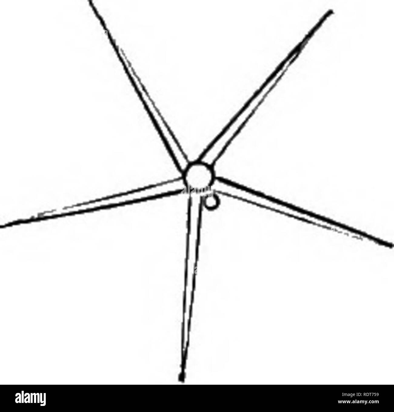 . Les parcs, promenades, &AMP ; Jardins de Paris, décrits et examinés en fonction des attentes de nos propres villes, et les jardins publics et privés. Jardins, Parcs. 618 NOTES D'UNE VISITE DE L'HORTICULTURE. forme abondent. La seule caractéristique notable a été un peu de l'un -placer des baguettes de saule dans le virage et la direction exacte dans laquelle il est nécessaire d'effectuer le chef des branches. Qu'une fois cela fait, il reste peu de mais de lier les jeunes pousses dans la direction souhaitée. Une grande partie du fruit avait baissé, en raison de la chaleur extrême, et de la terre sablonneuse. Il y en avait un assez bon spécimen d'une Banque D'Images