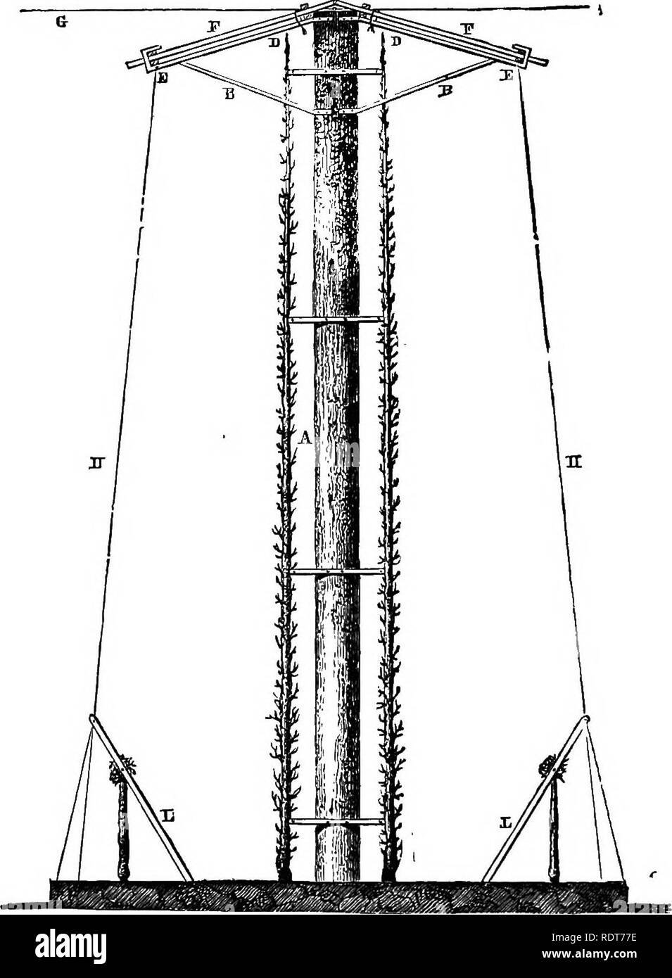 . Les parcs, promenades, &AMP ; Jardins de Paris, décrits et examinés en fonction des attentes de nos propres villes, et les jardins publics et privés. Jardins, Parcs. 584 l'horticulture, etc. des rangées d'arbres d'une manière différente de celle déjà affichée sur le treillis double. Prend en charge les principaux postes sont forts. Jardins à la française sont habituellement entourés de murs, et là. 338.. L'espalier double avec une rangée de cordons de chaque côté, montrant le mode de protection de l'ensemble au printemps. Un support en bois, ; B, B, prend en charge pour la protection ; F, F, large de neat chapes temporaire des nattes, tenue par le fer bra Banque D'Images