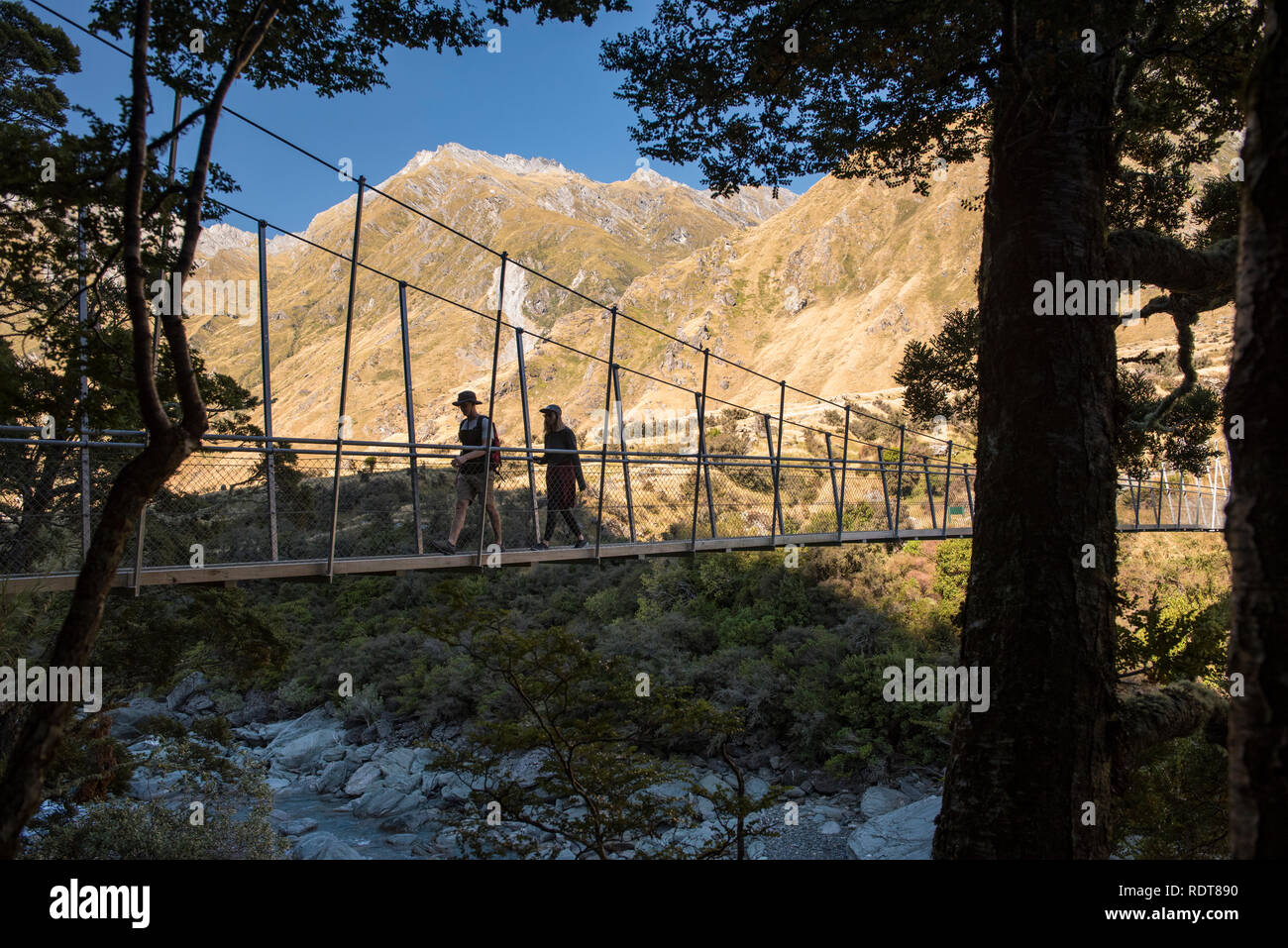 Le début de la piste du Glacier Rob Roy mène les randonneurs sur la rivière Matukituki via un pont tournant, dans une forêt de hêtres dans la Matukituki Valley près de Banque D'Images