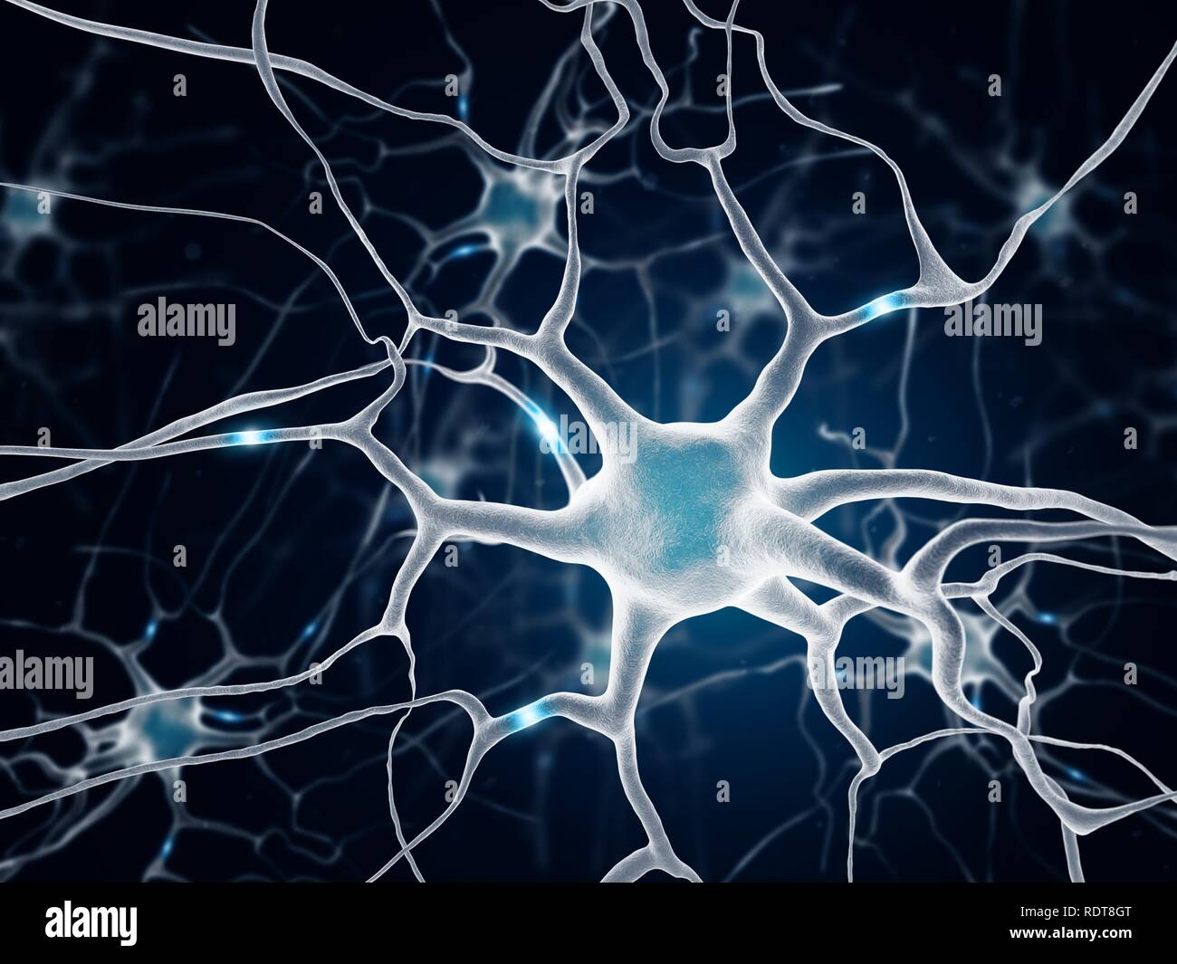 Les neurones dans le cerveau Banque D'Images