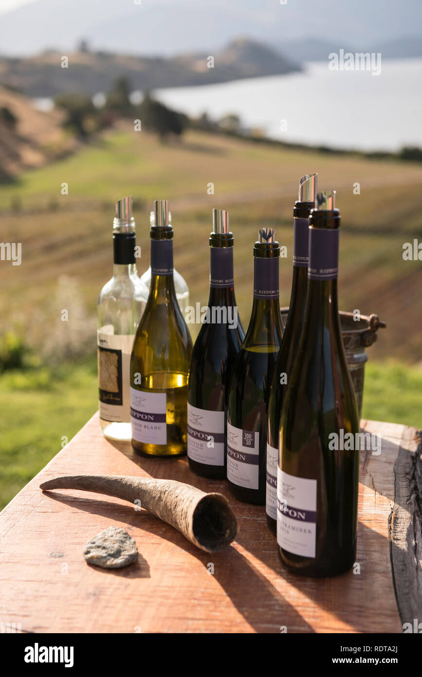 La dégustation du vin au Rippon avec de belles vues, des dégustations ont lieu en principe dans la salle de dégustation, mais à l'occasion, peut se produire dans la pelouse. Rippon est Banque D'Images La dégustation du vin au Rippon avec de belles vues, des dégustations ont lieu en principe dans la salle de dégustation, mais à l'occasion, peut se produire dans la pelouse. Rippon est Banque D'Images