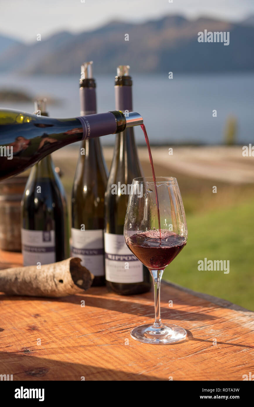 La dégustation du vin au Rippon avec de belles vues, des dégustations ont lieu en principe dans la salle de dégustation, mais à l'occasion, peut se produire dans la pelouse. Rippon est Banque D'Images La dégustation du vin au Rippon avec de belles vues, des dégustations ont lieu en principe dans la salle de dégustation, mais à l'occasion, peut se produire dans la pelouse. Rippon est Banque D'Images