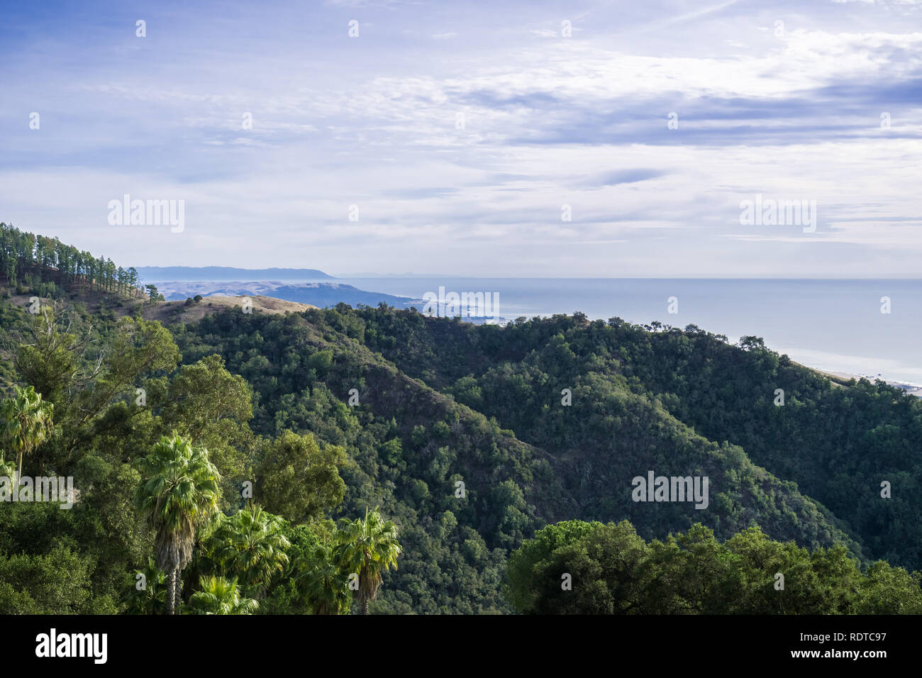 Montagnes et vallées couvertes dans la région côtière de chênes vivent et d'autres arbustes à feuilles persistantes, San Simeon, en Californie Banque D'Images