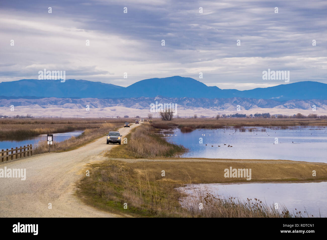 Les voitures qui circulent sur le tour auto itinéraire par les terres humides restaurées de Sacramento National Wildlife Refuge, en Californie Banque D'Images