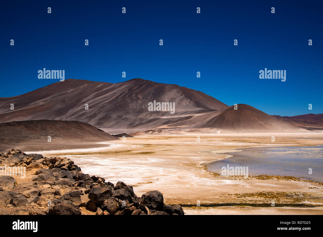 Lacs altiplaniques, Désert d'Atacama, Chili Banque D'Images