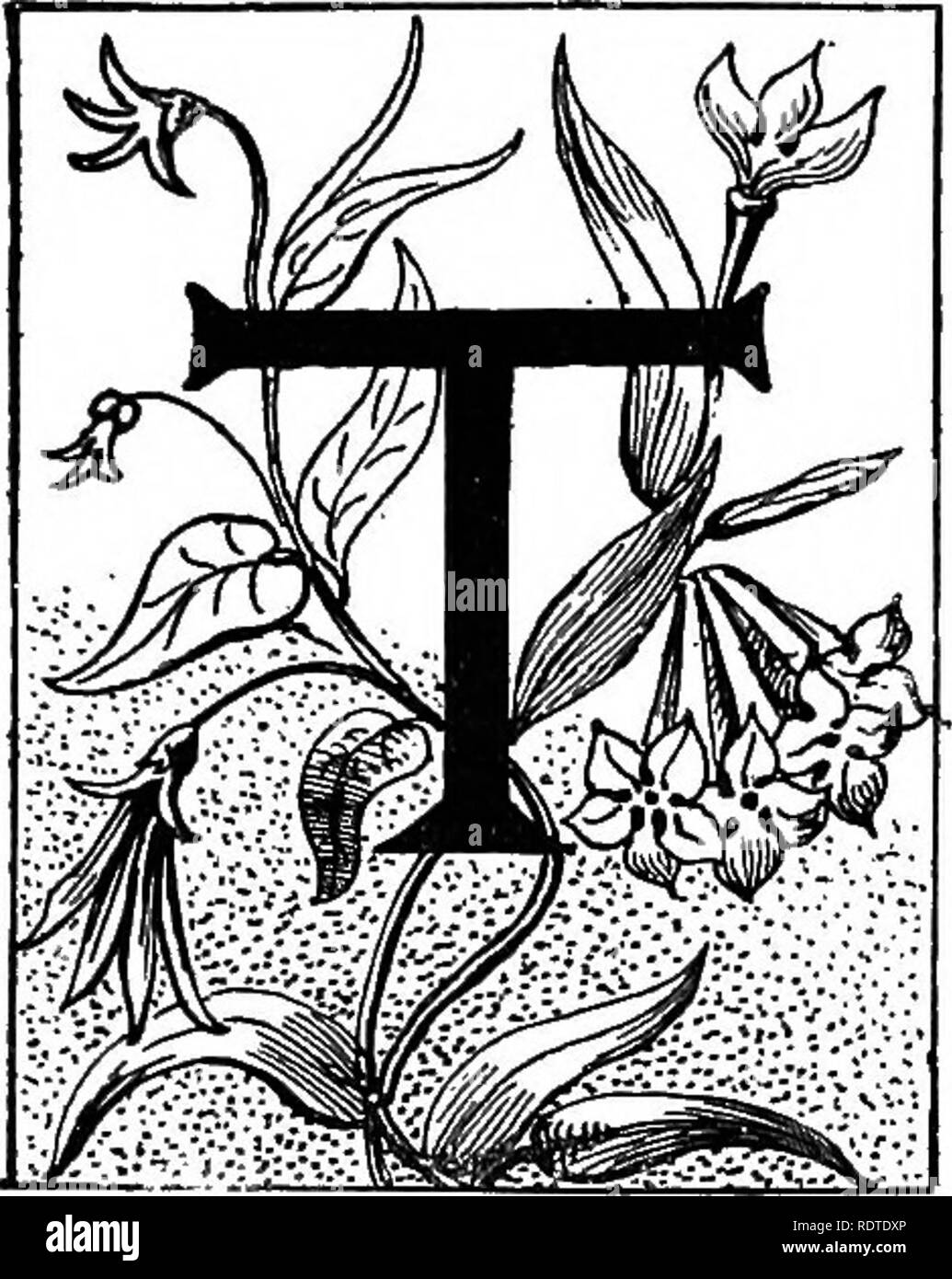 . Paysagiste. Remarques et suggestions sur les pelouses et de pelouse plante--mise en forme et l'arrangement des lieux du pays, grands et petits parcs, des parcelles du cimetière, et de la gare ferroviaire de pelouses--feuillus et conifères et arbustes--la frontière hardy-plantes--gainé cuir blanc, etc. Landscape Gardening. q^^^^y g j'^^^^^ ^J^^^^ ^^^M M M^^^ ^^^IBs S ^^^^S FE M mM^^ ^^^&amp;j'^^^ CHAPITRE IX. Des fleurs de jardin.. Il pelouse nous avons défini comme y compris les arbres, arbustes, rochers, etc., et, surtout, en tant qu'essentiel, nous avons inclus fauchés ou étroitement l'herbe coupée. Nous ne faisons pas, par conséquent, trouver sur la pelouse un bon pla Banque D'Images