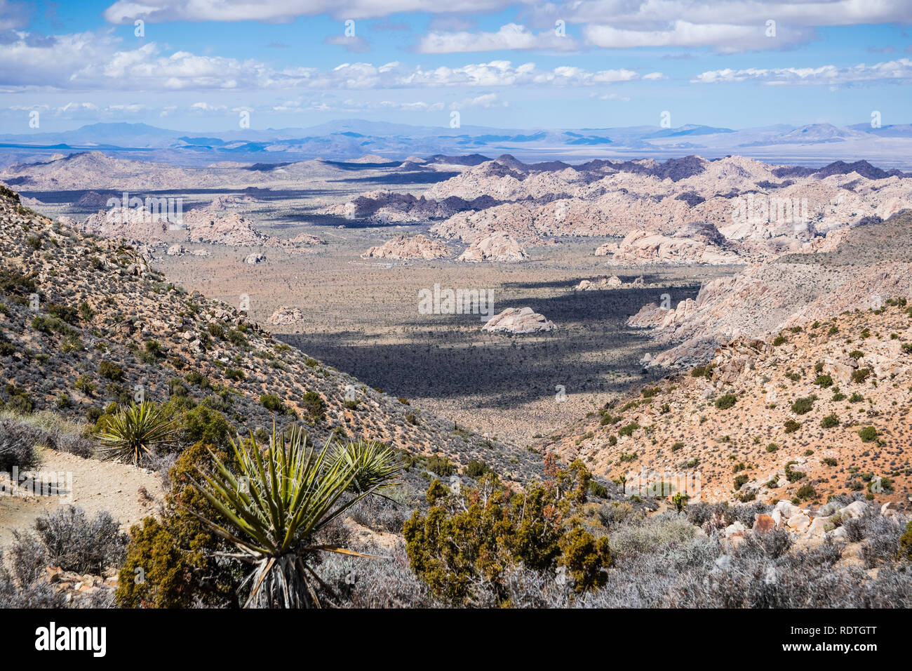 Vue vers le haut désert parsemé de végétation clairsemée et les affleurements rocheux du parc national de Joshua Tree, en Californie Banque D'Images