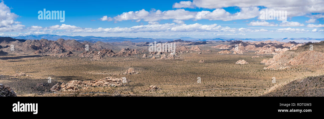 Vue panoramique sur le haut désert parsemé de végétation clairsemée et les affleurements rocheux du parc national de Joshua Tree, en Californie Banque D'Images