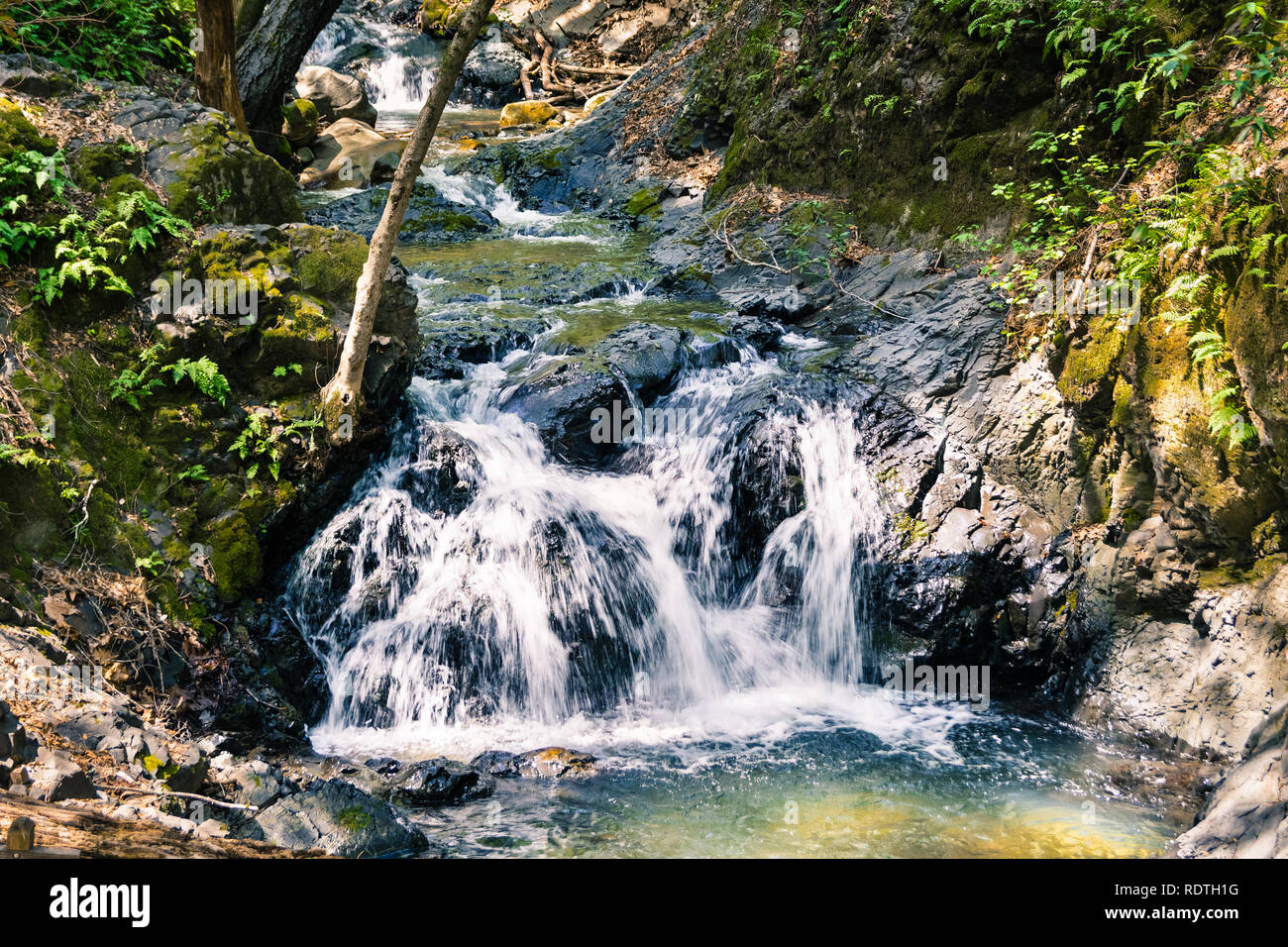 Cascade de Uvas Comté de Canyon Park, Santa Clara County, Californie ; longue exposition Banque D'Images