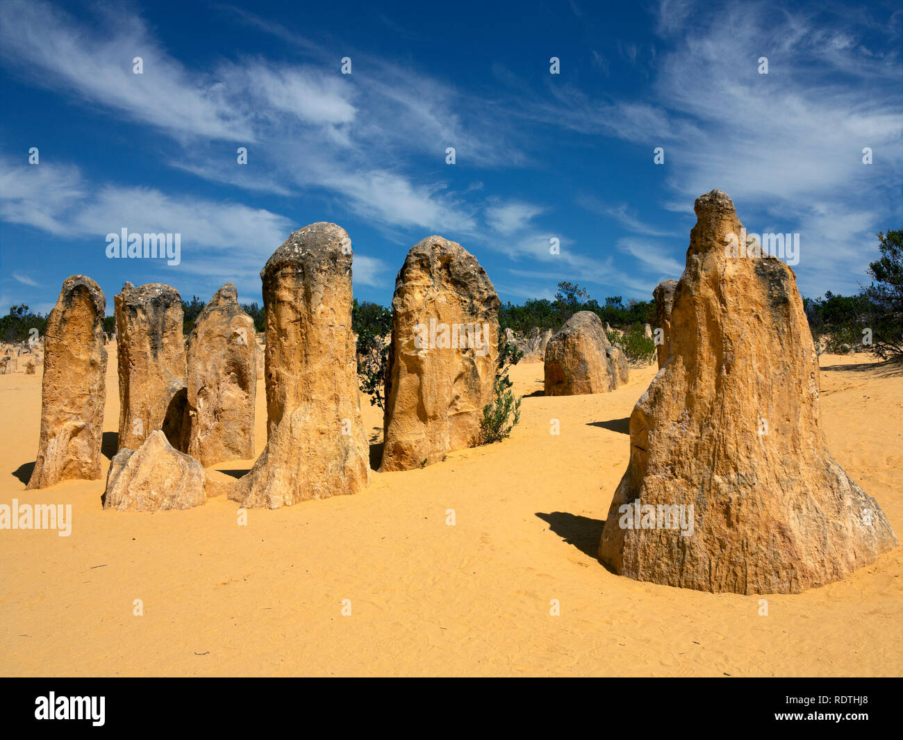Piliers de calcaire at Ellis (le Parc National de Nambung), l'ouest de l'Australie. Banque D'Images