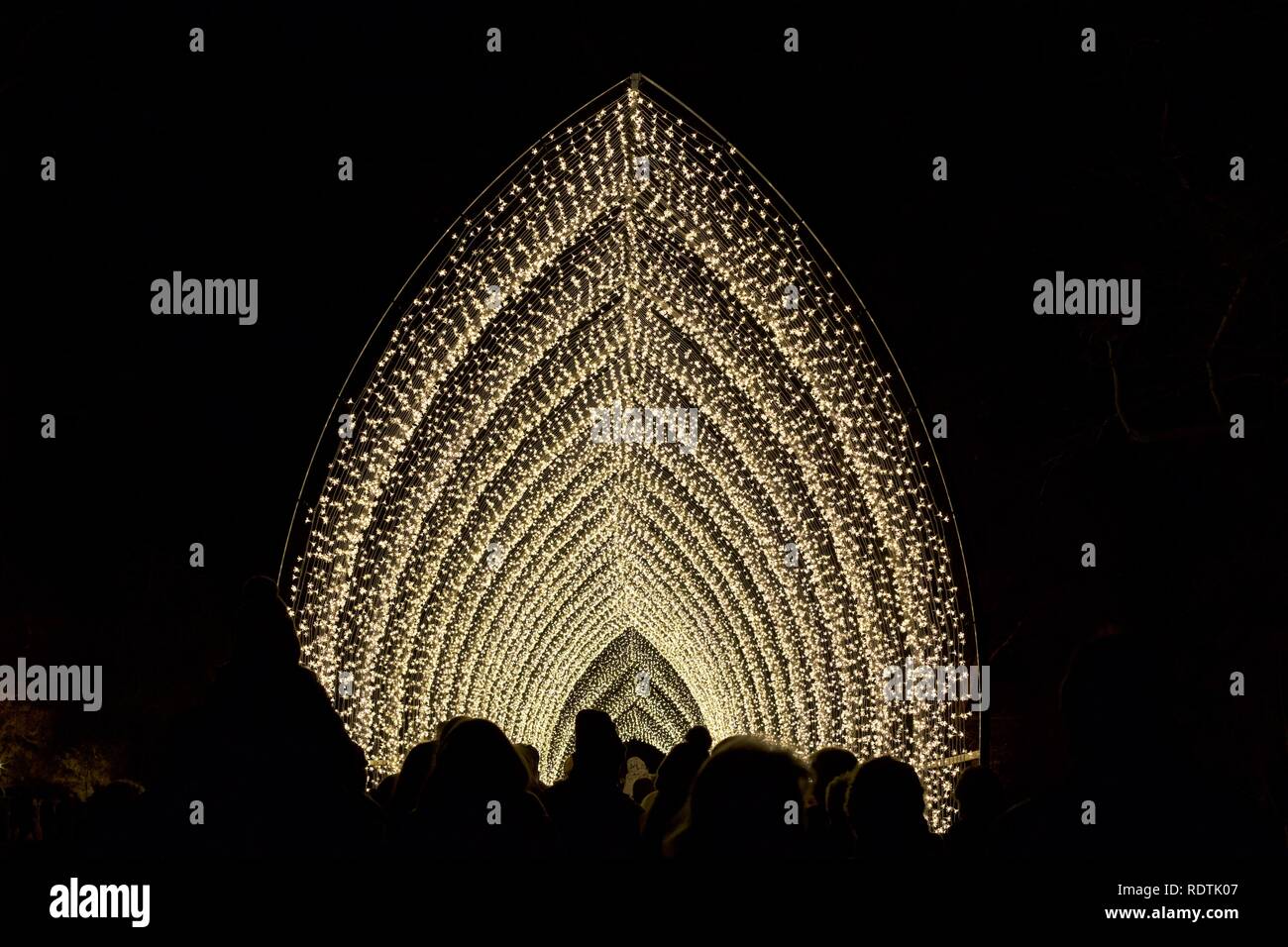 100m de long, Cathédrale de lumière à Noël 2018 à Kew Gardens Banque D'Images