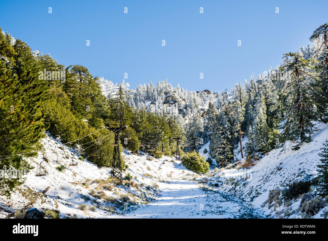 Mount Baldy (Mt San Antonio) ascenseur de ski sur une journée ensoleillée ; la neige couvrant le sol et des pins, le comté de Los Angeles, Californie Banque D'Images