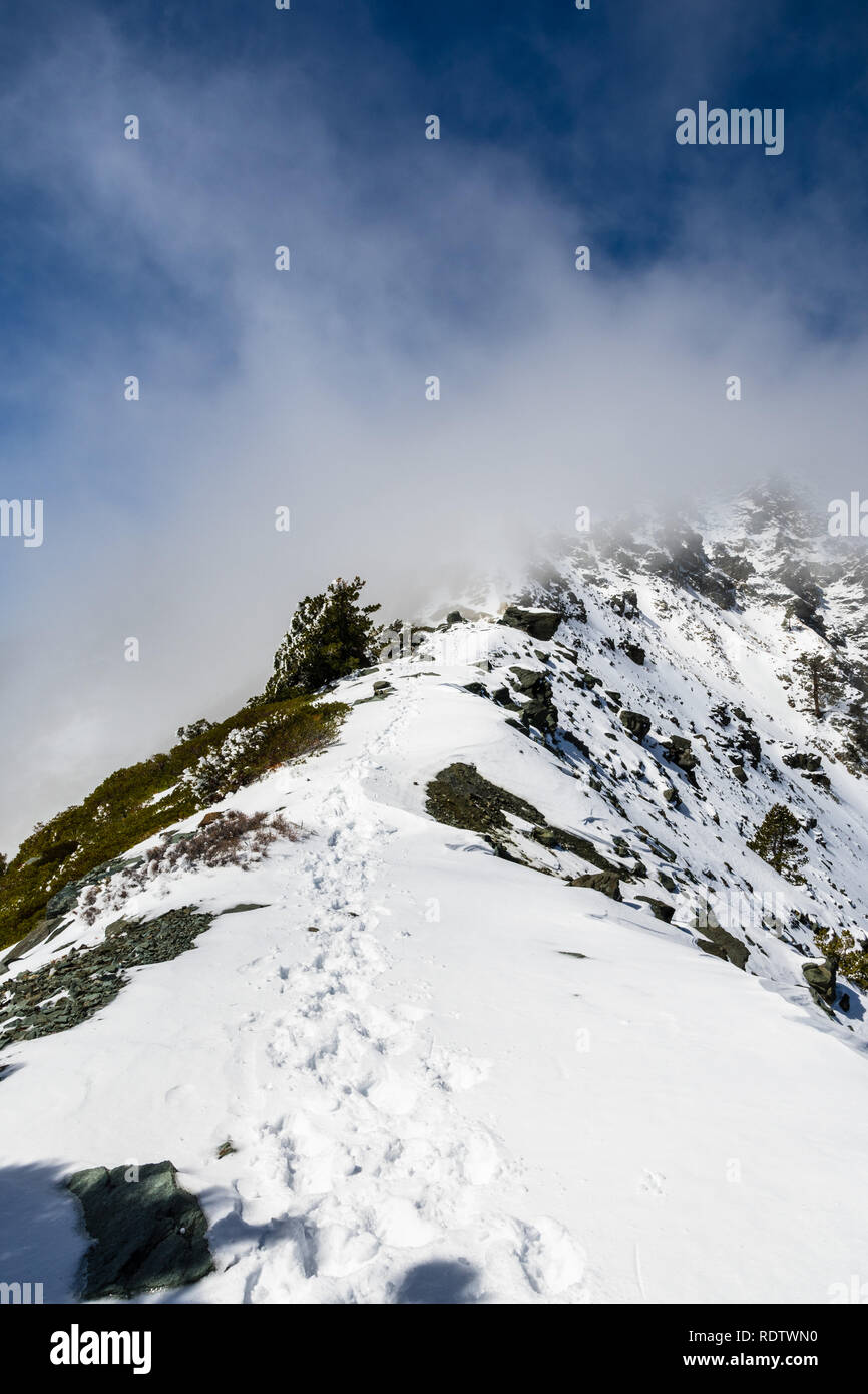La crête rocheuse sur le sentier vers le sommet du Mont San Antonio (Mt Baldy) sur la neige mais journée ensoleillée, avec du brouillard passant de la Valley, comté de Los Angeles Banque D'Images