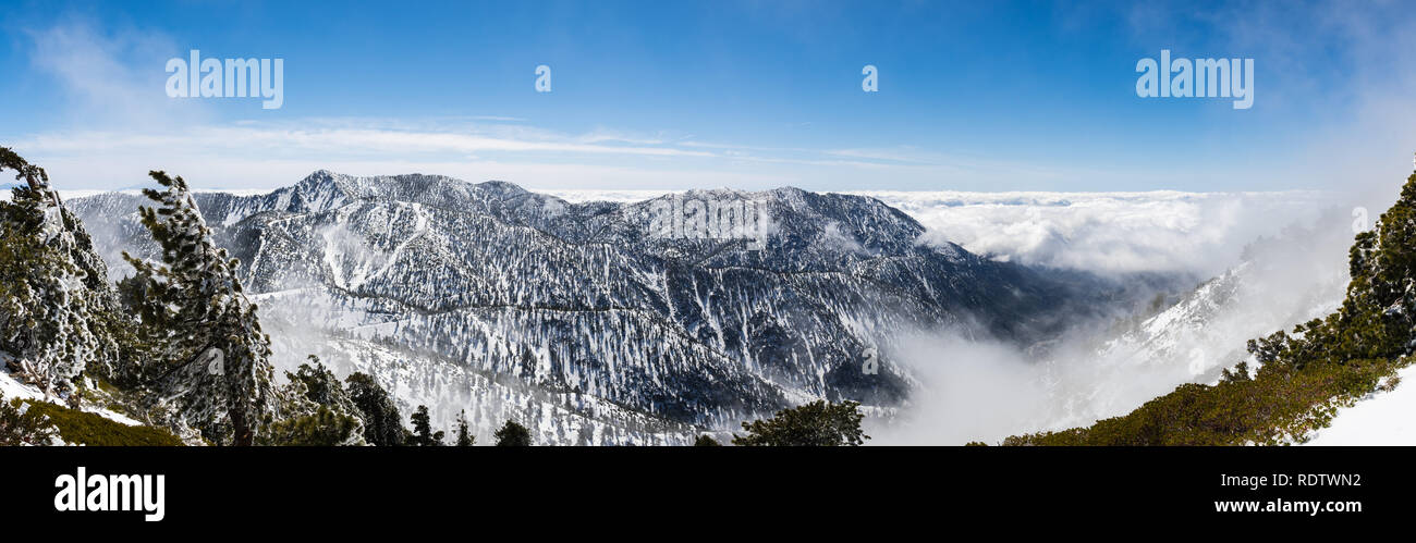 Journée d'hiver ensoleillée avec la neige fraîche et une mer de nuages blancs sur la piste vers San Antonio (Mt Mt Baldy), comté de Los Angeles, Californie du sud Banque D'Images