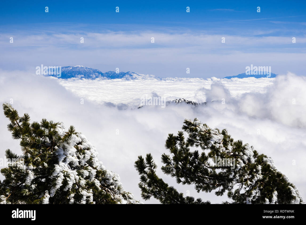 Vue magnifique du haut des nuages vers le sommet du Mont San Gorgonio et Mt San Jacinto, visible à l'arrière-plan ; photo prise depuis le mont Banque D'Images