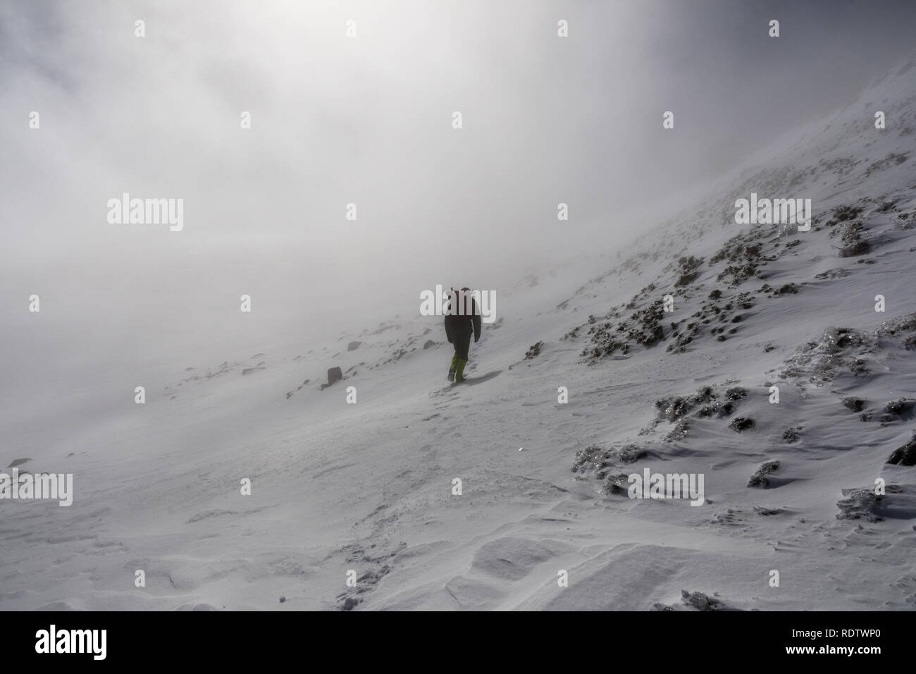La randonnée au sommet du Mont San Antonio (Mt Baldy) sur une journée de printemps, le brouillard avec frozen couvrant la piste, le comté de Los Angeles, Californie du sud Banque D'Images