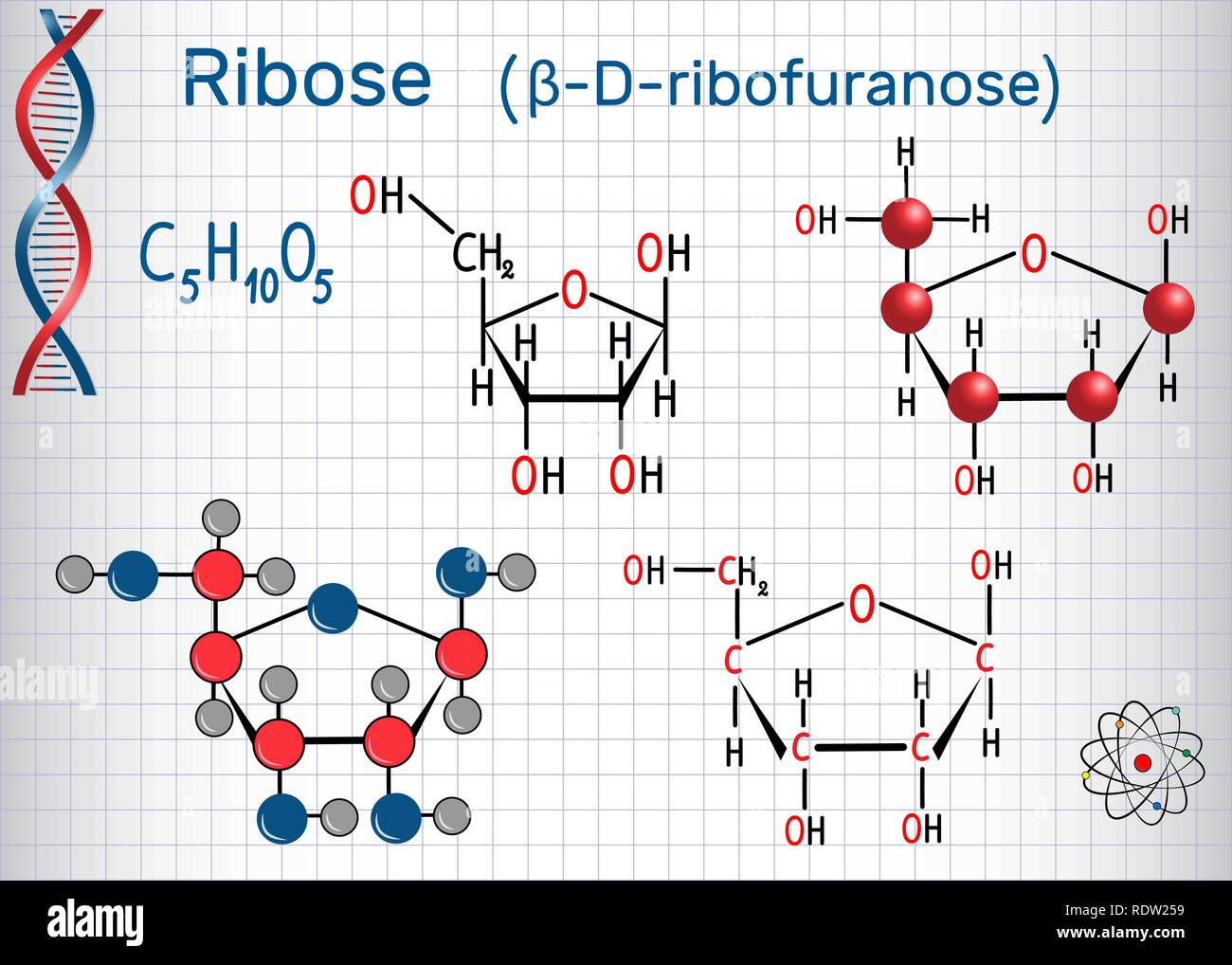 Ribose (β-D-ribofuranose) molécule, c'est un sucre simple (monosaccharide pentose), elle fait partie de l'épine dorsale de l'ARN. Une formule chimique structurels Illustration de Vecteur