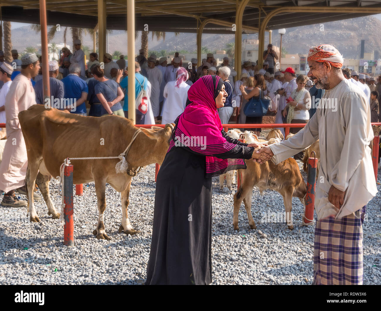 Nizwa, Oman - Novembre 2, 2018 : Femme avec un voile et un musulman se serrer la main pour l'accord d'achat au marché des animaux Vendredi à Nizwa Banque D'Images