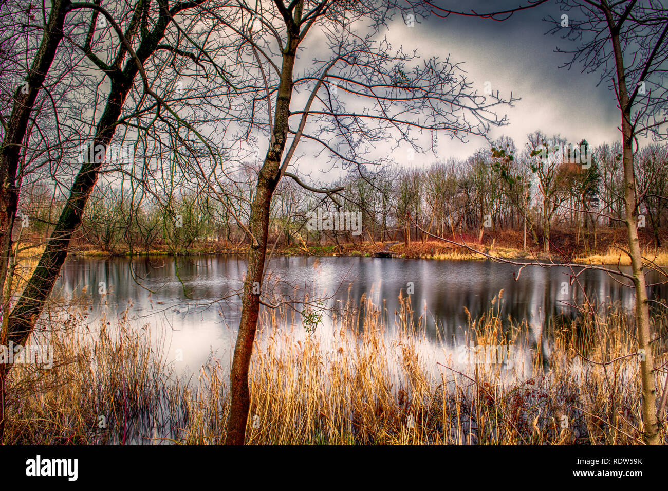 Paysage d'hiver avec un coin couchage sur la nature un jour nuageux. Banque D'Images