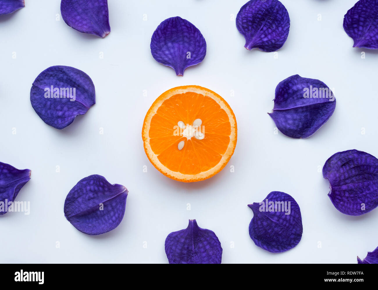 Orchid petal avec tranche d'orange sur fond blanc.télévision design laïcs Banque D'Images