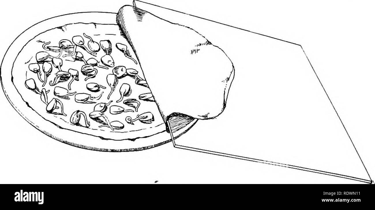 Deux pièces circulaires Banque d'images noir et blanc - Alamy