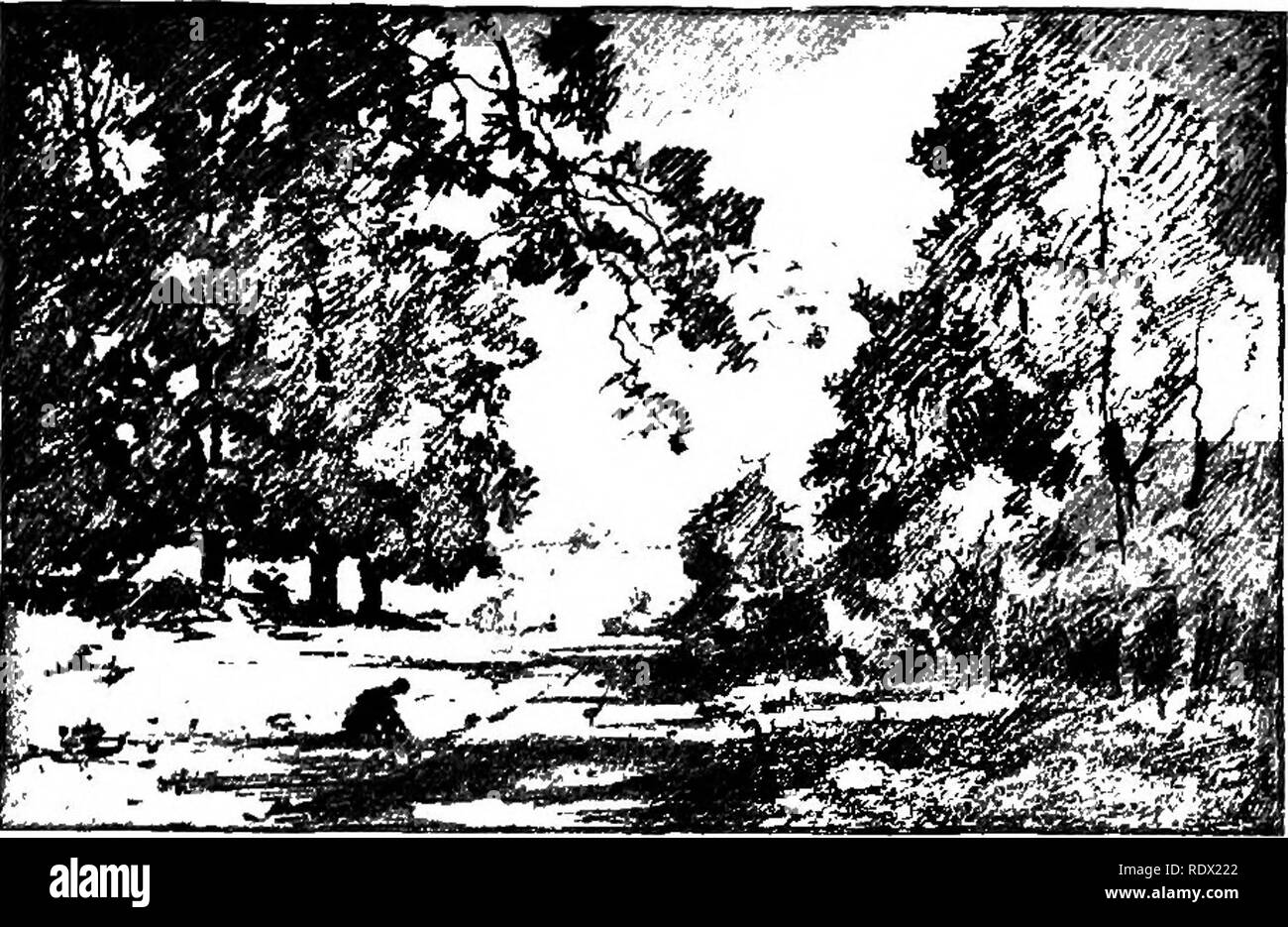 . Eye spy : loin avec la nature parmi les fleurs et d'animer les choses . L'histoire naturelle ; insectes ; l'histoire naturelle. Une étrange histoire d'une sauterelle 197 et illustrer un combat singulier que j'ai eu peu- ly avant observée entre une grande et une fourmi rouge mutilla "Quaker." La mutilla J'avais capturé à l'époque, et avait conservé comme un spécimen. J'avais besoin que le grasshopper pour terminer mon dessin. Directement en face de ma maison de ville. Un certain nombre de postes vacants lots herbeux a offert un lieu de prédilection pour les insectes - J'ai l'habitude de l'appeler le camp Quaker-raeeting-sol et j'ai commencé à acheter un. Havi Banque D'Images