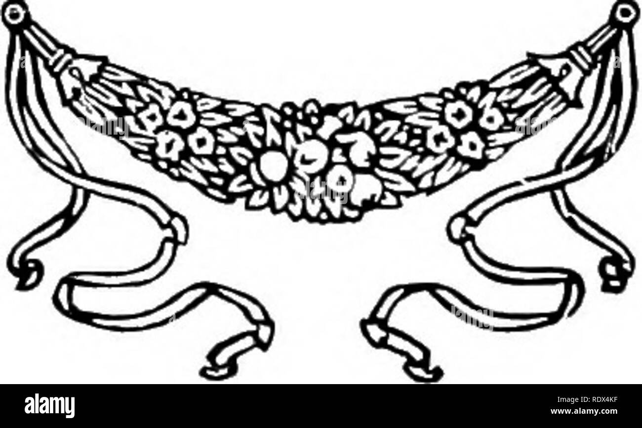 . La culture des plantes ; un manuel de travail de tous les jours pour toutes les pratiques qui font pousser des plantes ornementales et des fleurs dans le jardin et en serre. Jardinage ; les serres. 340 LA CULTURE DE PLANTES certains causent beaucoup de graines produire des plantes qui sont entièrement blanc au lieu de vert ; ces meurent lorsque quelques semaines. Aiguille du yucca (Adam). L'espèce résistante de ce genre sont toutes les plantes ornementales dans les situations prospère en plein soleil. Presque toute la terre se verront leur conviennent. Certaines des espèces les plus utiles sont Y. gloriosa (dont il existe de nombreuses variétés), Y. recurvifolia angustijolia, Y., Y. filamentosa un Banque D'Images