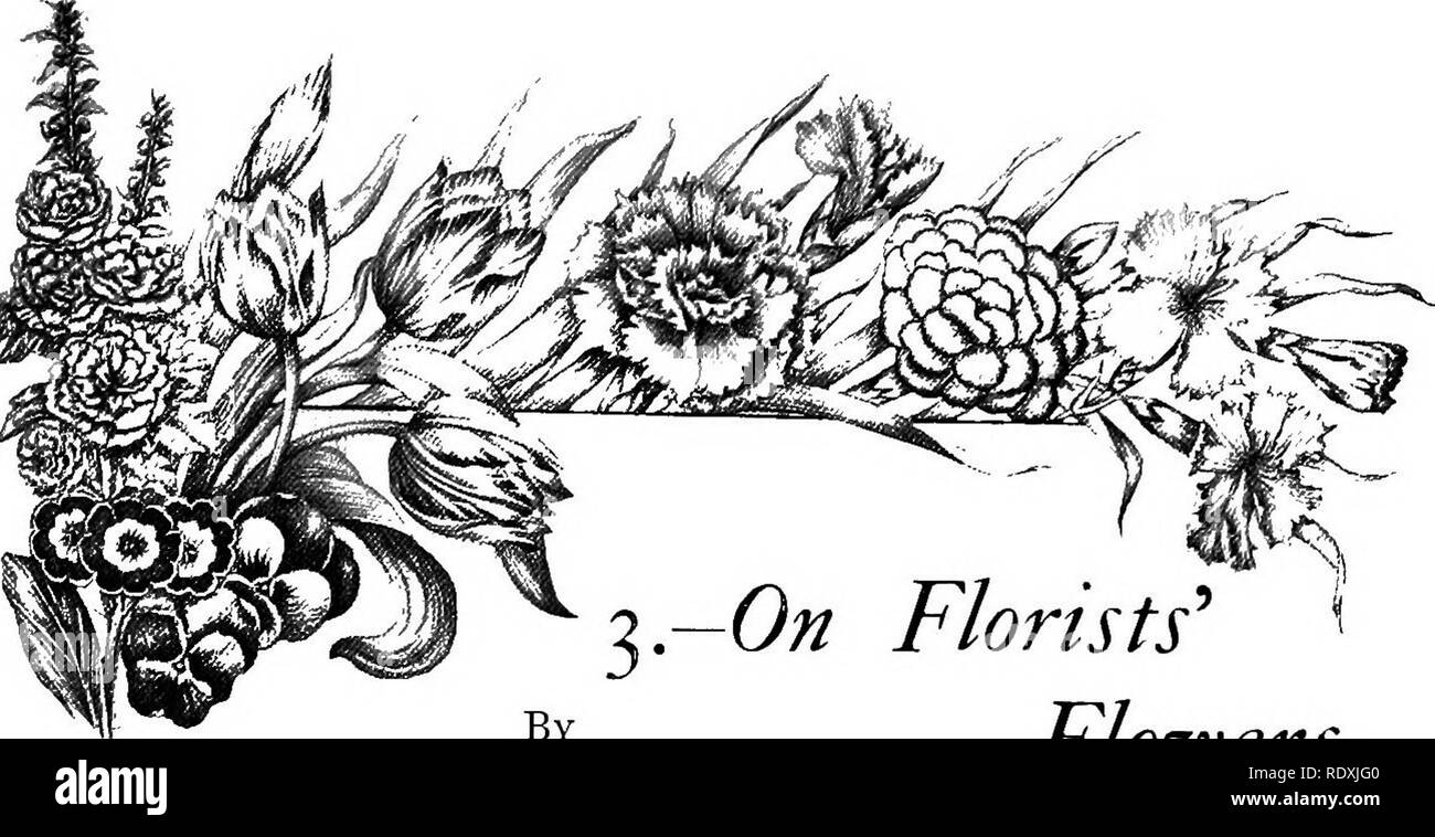 . Le Livre de jardinage ; un manuel d'horticulture. Jardinage, Horticulture. ^ T-ON LES FLEURISTES* par James Douglas, fleurs. D'un commun accord les plantes préférées de nos jardins ont été désignés "les fleuristes fleurs," et pour de très nombreuses années, ils ont été connus en tant que tels. Le plus beau, et de valeur la plus élevée d'entre eux, sont la Rose, chrysanthème, Œillet, Rose, Auricula, Pansy, alto, Tulip, Dahlia, rose trémière, renoncules, primevères, et glaïeul. Certains, comme l'Alto, sont de conception moderne ; d'autres, comme l'Œillet, Auricula, Tulip, &amp;c, ont honoré nos jardins pour Banque D'Images