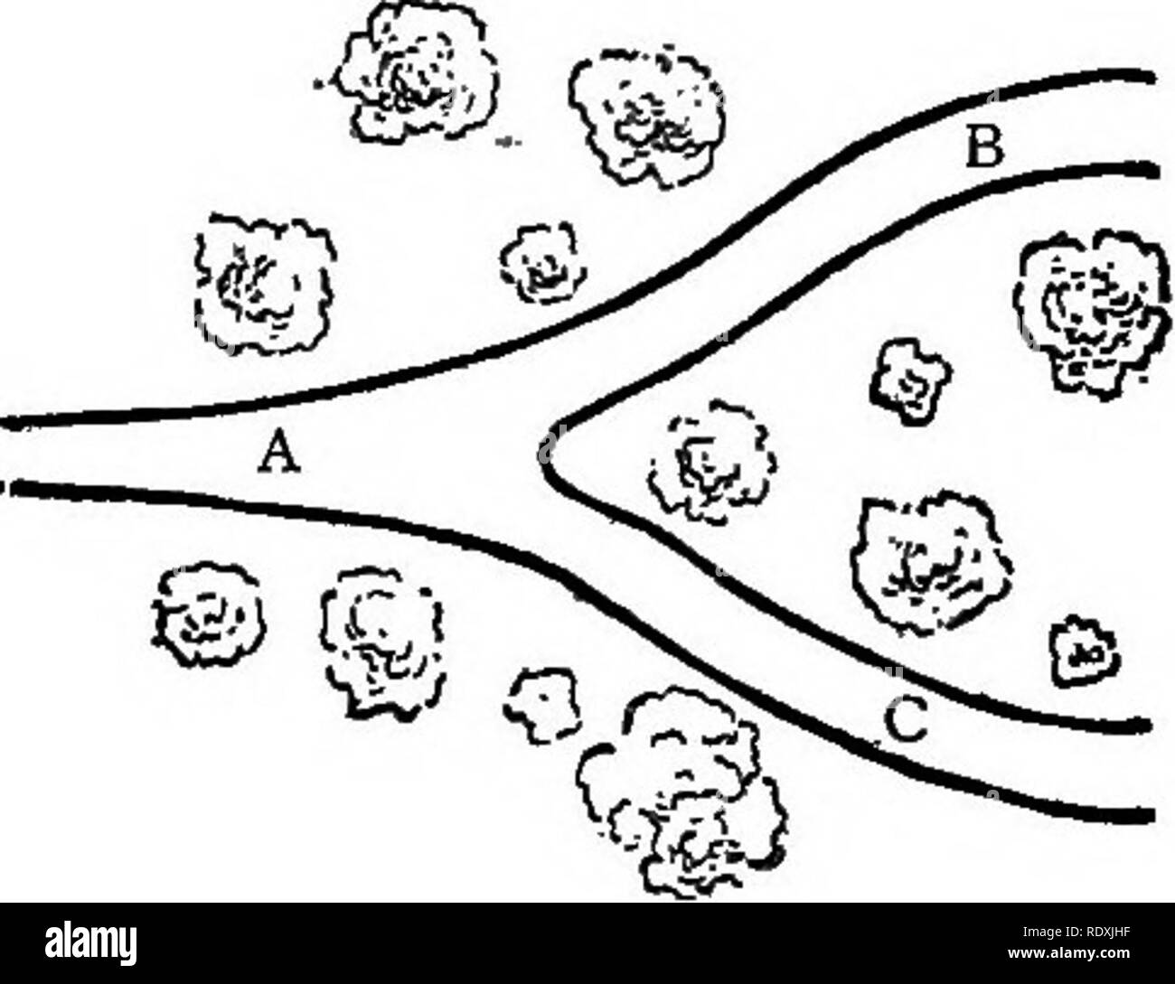 . Le Livre de jardinage ; un manuel d'horticulture. Jardinage, Horticulture. Fig. 21.-Bonne bifurcation. Fig. 22.-Bad' bifurcation. Dans le jardin les ruelles non seulement caractériser mais créer le genre de jardin. Leurs frontières herbe engazonnés, des parterres de fleurs, terrasses, &amp;c, doit être en harmonie avec les strictes lignes architecturales de la maison, l'ex-arides doivent avoir leurs haches en commun avec ce dernier. Il doit y avoir une nette délimitation des limites de l'officiel et le paysage jardin, sous la forme de balustres, étapes, ou des banques. Si la formation des lecteurs, de promenades et de sentiers est très ca Banque D'Images